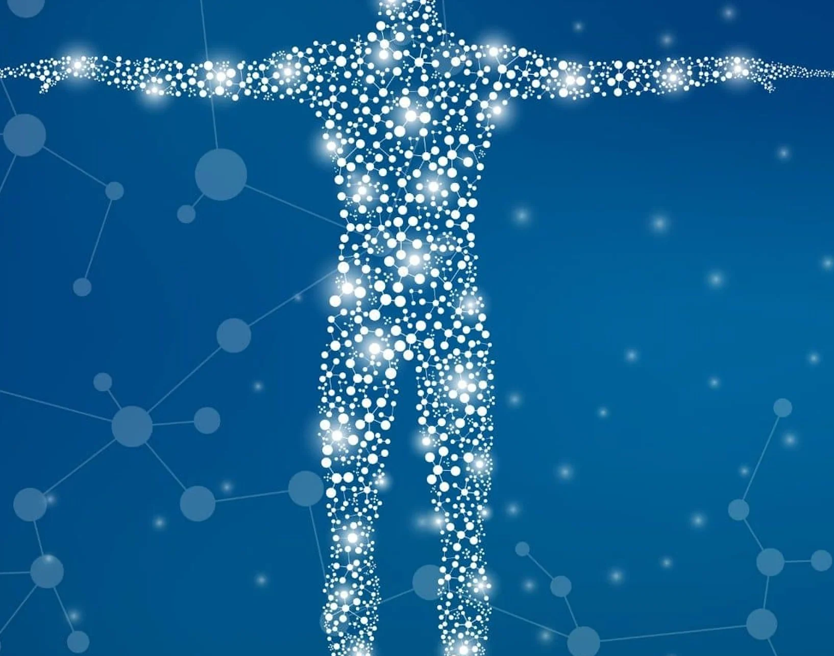 Il sistema endocannabinoide